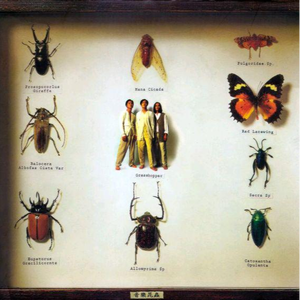 日本吮乳吃奶头亚洲人
